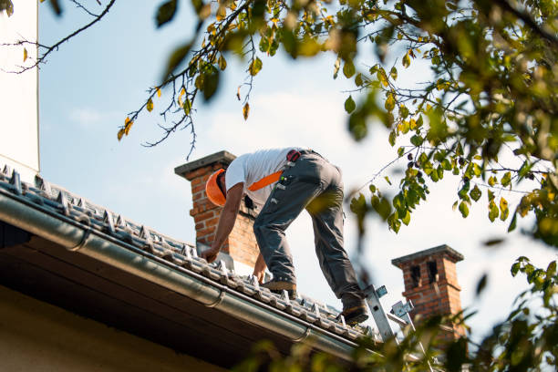 Best Sealant for Roof  in Mcrae Helena, GA