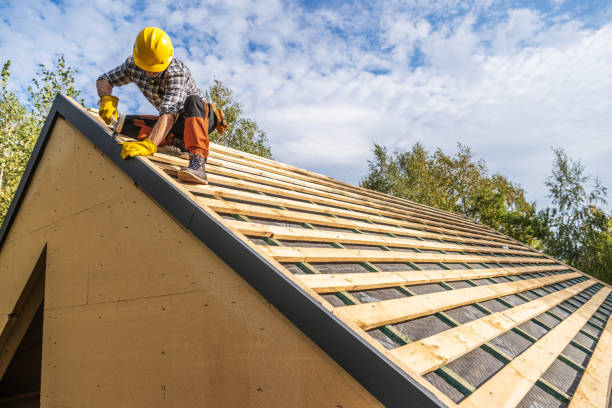 Professional Roofing Contractor in Mcrae Helena, GA
