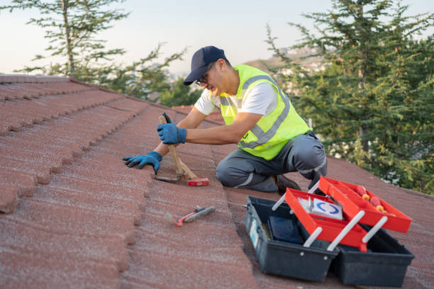 Best Residential Roof Replacement  in Mcrae Helena, GA