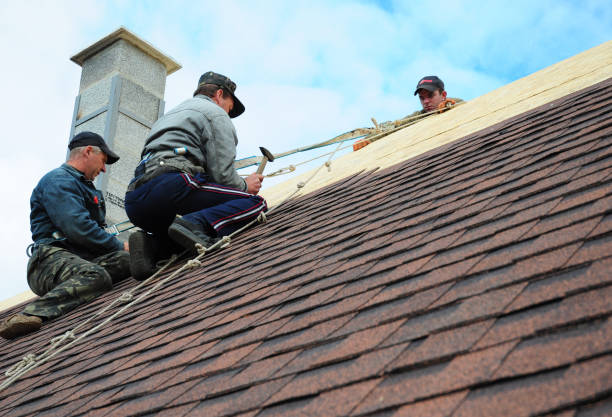 Best Roof Maintenance Services  in Mcrae Helena, GA